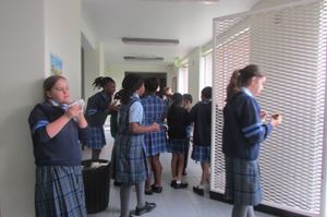 IMG 7205