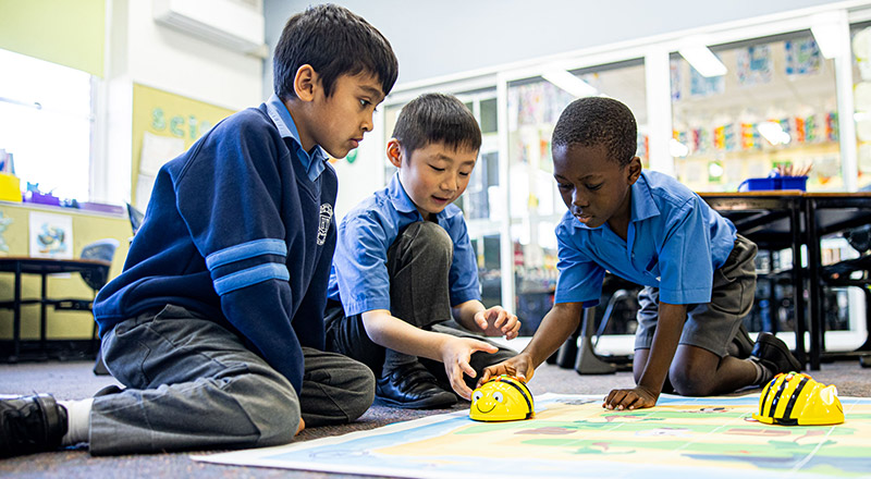 Holy Trinity Catholic Primary School Granville students learning about coding