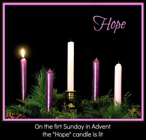 798736291791259_1434424991555716-1