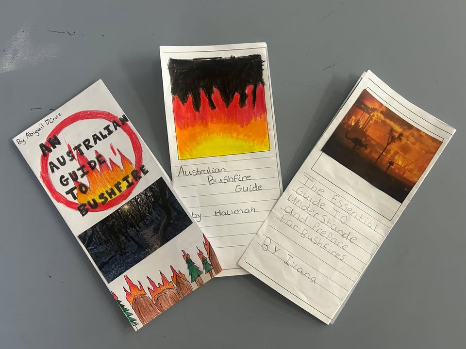 798736291791259_1435164111481804-1