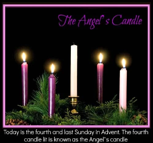 798736291791259_1451122376552644-1