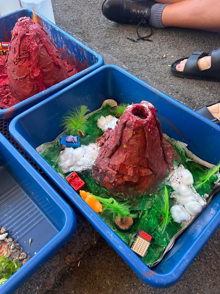 798736291791259_1447916570206558-1