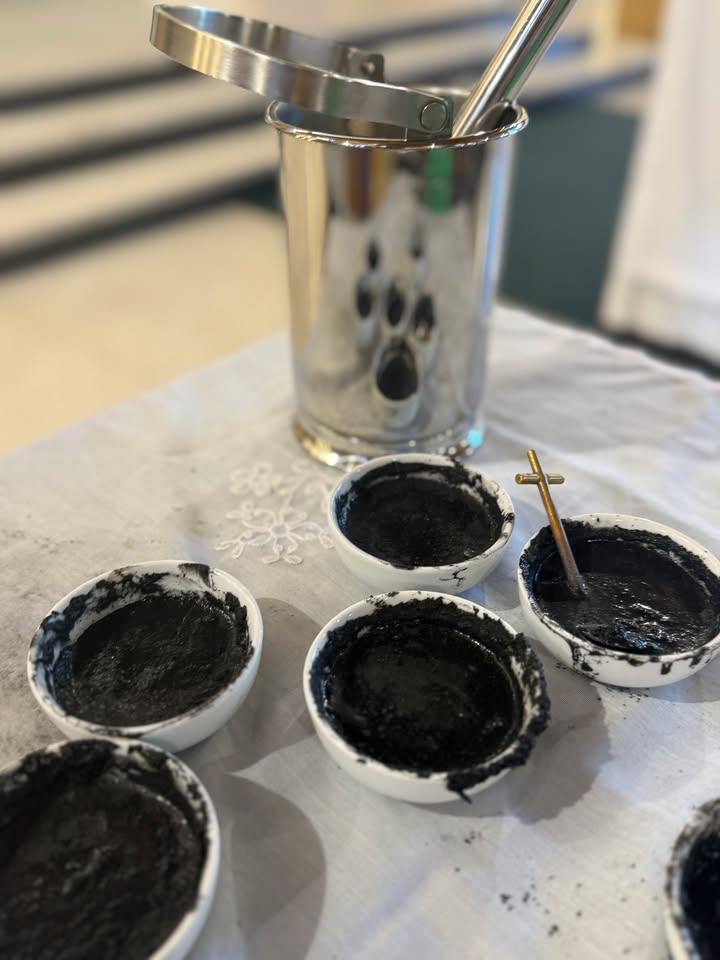 798736291791259_1500747641590117-1