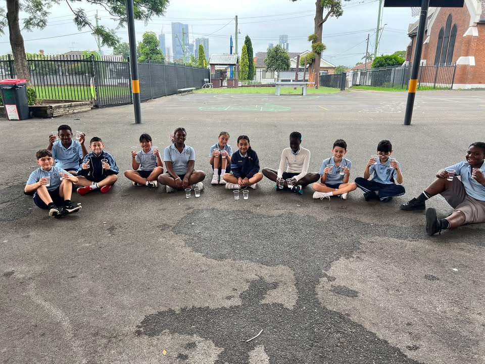 798736291791259_1504113471253534-1