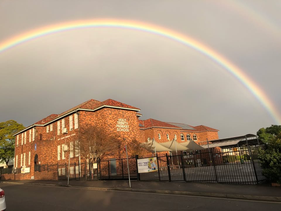 798736291791259_1496036792061202-1