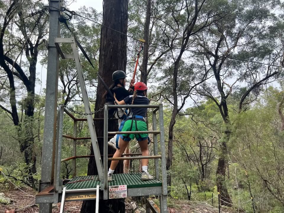 798736291791259_1514815280183353-1