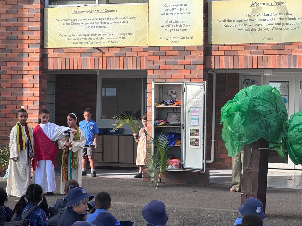 798736291791259_1535119134819634-1