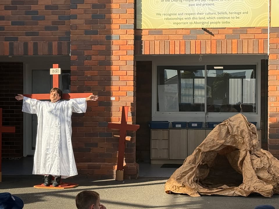 798736291791259_1539934967671384-1